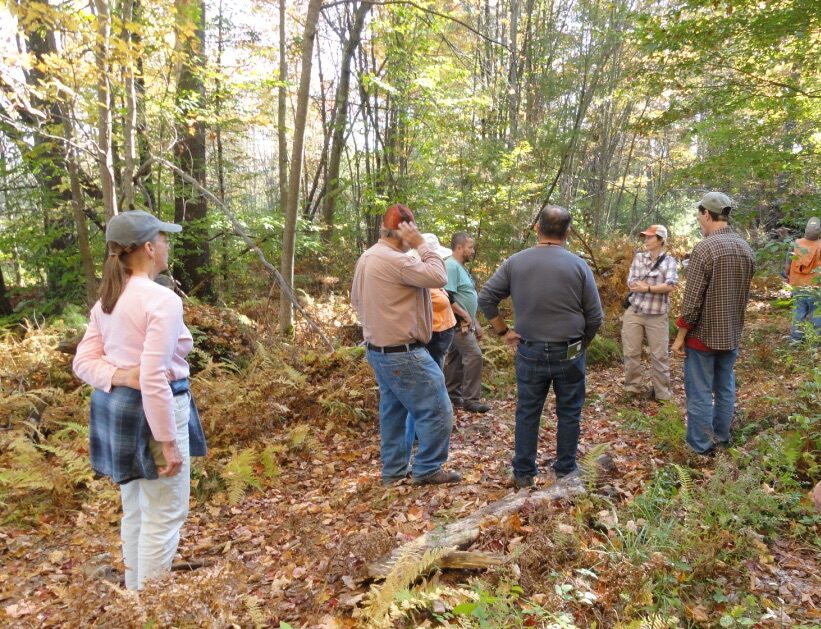 Invasive plants workshop